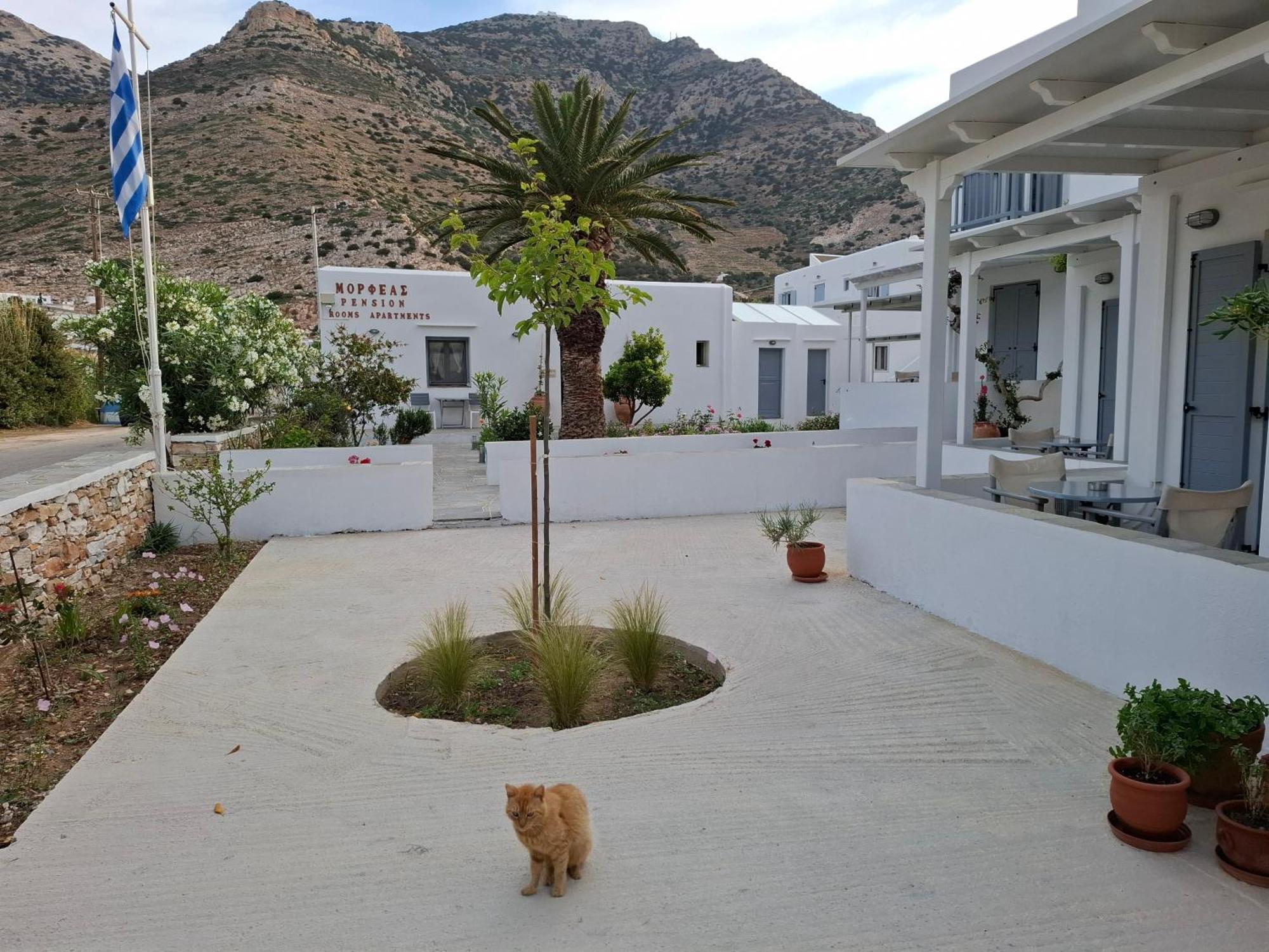 Morpheas Pension Rooms & Apartments Kamares  Bagian luar foto